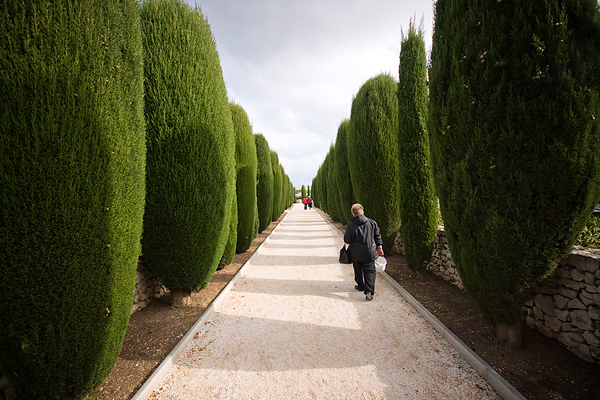 Gradsko groblje uoči blagdana Svih svetih (foto:Saša Čuka) Gradsko groblje uoči blagdana Svih svetih (foto:Saša Čuka)