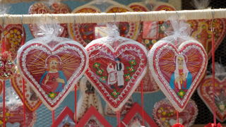 Hodocasce zupljana zupe Bl. Alojzija Stepinca u Krasic, Mariju Bistricu i zagreb, Foto: Darko Dilber