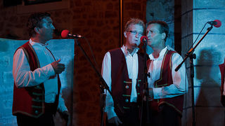 31. Susret klapa “Raspivano Bibinje”, Foto: Leo Banić