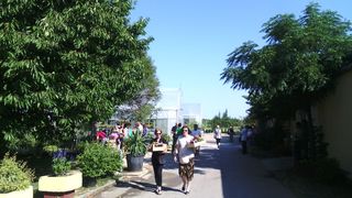 Danas, kako je tvrtka Nasadi d.o.o. i najavila, u rasadniku Cerodol na Žmirićima od 09:00 do 11:00 sati građanima su se dijelile sadnice sezonskog cvijeća. Danas, kako je tvrtka Nasadi d.o.o. i najavila, u rasadniku Cerodol na Žmirićima od 09:00 do 11:00 sati građanima su se dijelile sadnice sezonskog cvijeća.