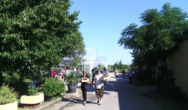 Danas, kako je tvrtka Nasadi d.o.o. i najavila, u rasadniku Cerodol na Žmirićima od 09:00 do 11:00 sati građanima su se dijelile sadnice sezonskog cvijeća.