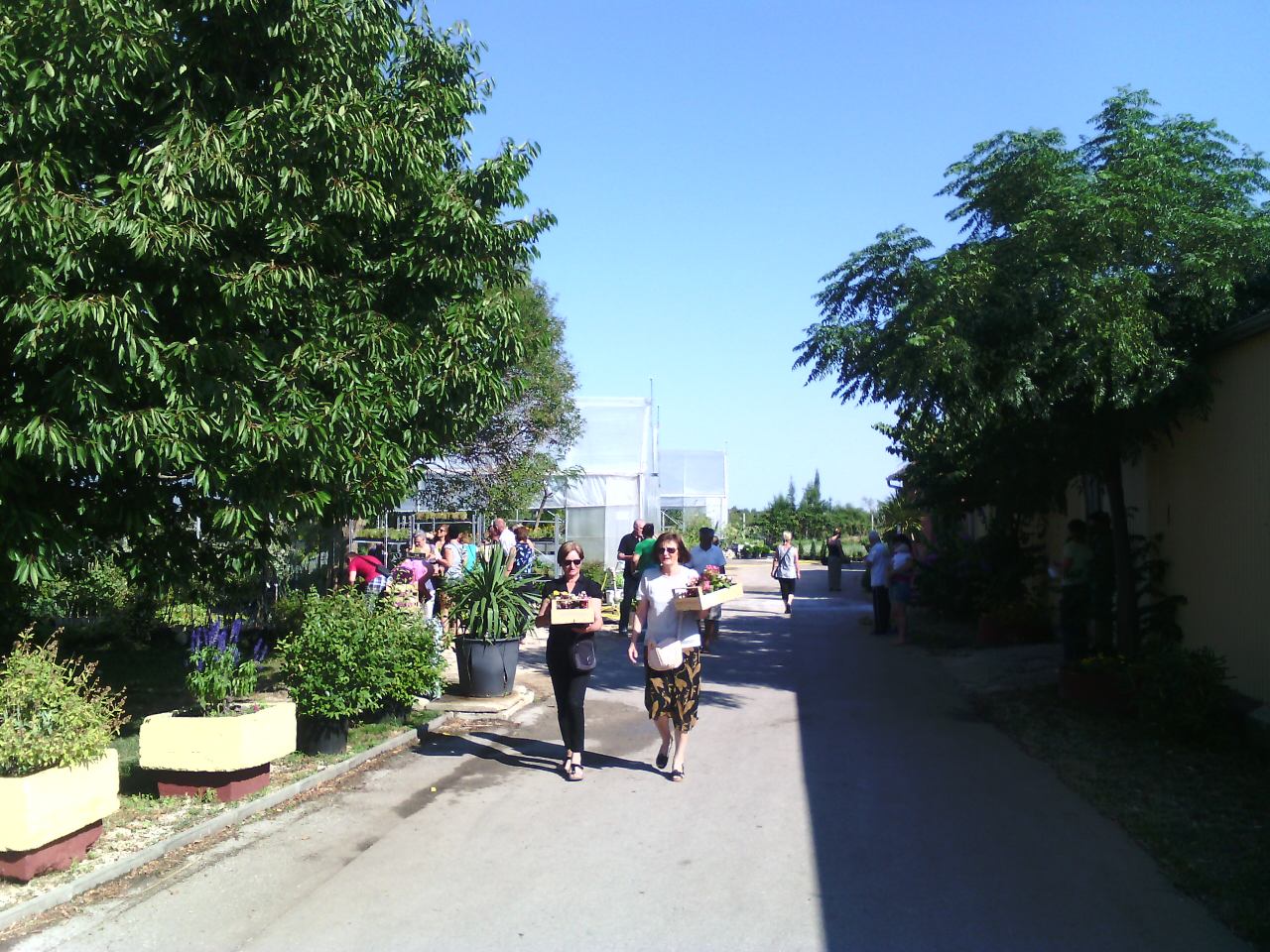 Danas, kako je tvrtka Nasadi d.o.o. i najavila, u rasadniku Cerodol na Žmirićima od 09:00 do 11:00 sati građanima su se dijelile sadnice sezonskog cvijeća. Danas, kako je tvrtka Nasadi d.o.o. i najavila, u rasadniku Cerodol na Žmirićima od 09:00 do 11:00 sati građanima su se dijelile sadnice sezonskog cvijeća.