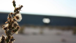 Devastirana bivša vojna baza Šepurine, Foto: Iva Idassa Devastirana bivša vojna baza Šepurine, Foto: Iva Idassa