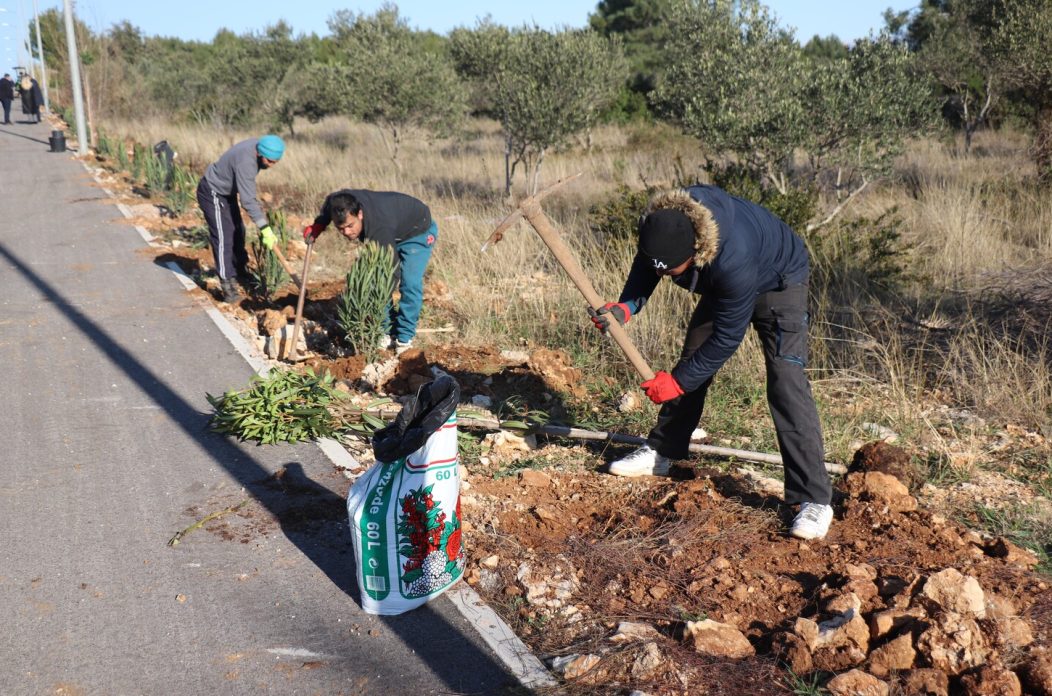 D306 na Viru postaje zeleni prometni pravac