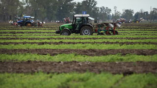 Jankolovica, Biograd, 150912. 
U Jankolovici kraj Biograda odrzan je drugi dan 59. Svjetskog prvenstva u oranju. Ovo natjecanje u oranju odrzava se od 1953. godine, a Hrvatska se ukljucila 2005. godine.
Na fotografiji: detalj s manifestacije. 
Foto: Jure