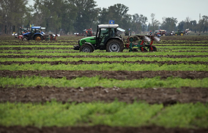 Jankolovica, Biograd, 150912. 
U Jankolovici kraj Biograda odrzan je drugi dan 59. Svjetskog prvenstva u oranju. Ovo natjecanje u oranju odrzava se od 1953. godine, a Hrvatska se ukljucila 2005. godine.
Na fotografiji: detalj s manifestacije. 
Foto: Jure