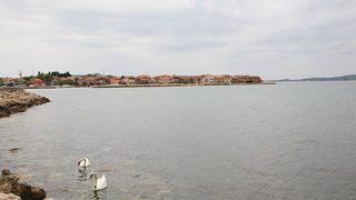 Labudovi u Bibinjama 6. svibnja 2013. Foto: Leo banić Labudovi u Bibinjama 6. svibnja 2013. Foto: Leo banić