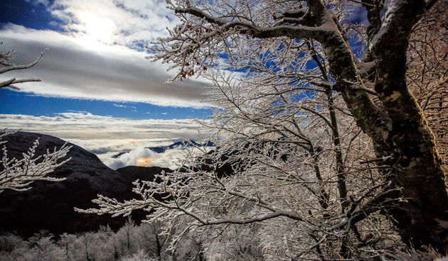 Biokovo, 031212.
Biokovo je prekrio snjezni pokrivac debljine 10-ak centimetara. 
Na fotografiji: snjezna idila pri samom vrhu Biokova.
Foto: Zvonimir Barisin / CROPIX