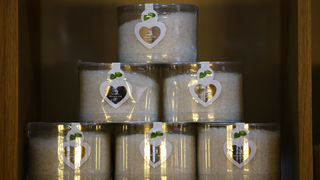 Posjet Solani Nin i Kraljevskim vinogradima u Petrčanima