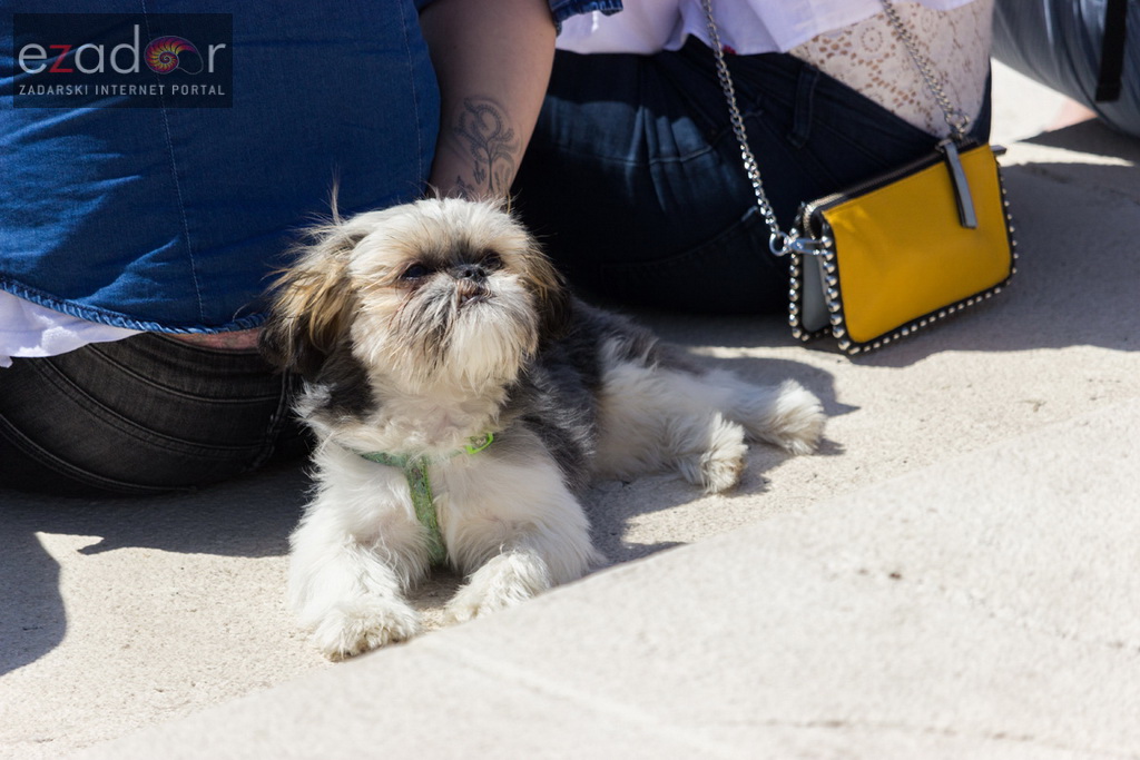 Đir po gradu 1. svibnja 2017. Đir po gradu 1. svibnja 2017.