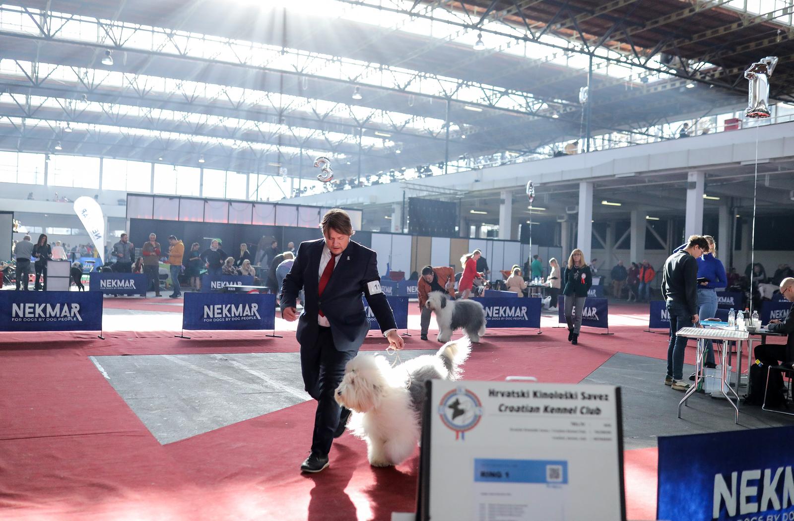 Izložba pasa na Zagrebačkom velesajmu Izložba pasa na Zagrebačkom velesajmu