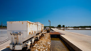 Solana Nin, berba soli, foto: Leo Banić