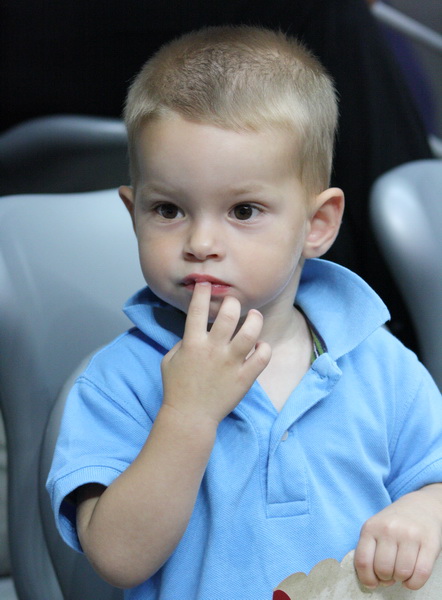 Zadar-Cibona 69-71, Cibona prvak Hrvatske, Foto: Mladen Malik / eZadar