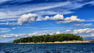Đir s roniocima po Zadarskom arhipelagu, Foto: Roberto Lerga Đir s roniocima po Zadarskom arhipelagu, Foto: Roberto Lerga