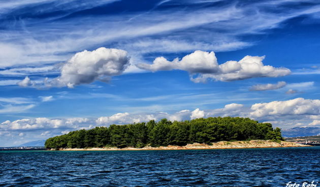 Đir s roniocima po Zadarskom arhipelagu, Foto: Roberto Lerga