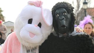 Virski Karnevalić 2017.