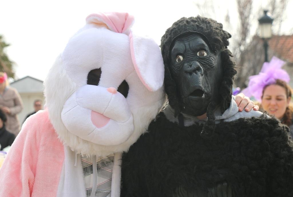 Virski Karnevalić 2017.