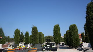 Blagdan Svih Svetih na groblju Belafuža 1. studenog 2011, Foto: Mladen Malik Blagdan Svih Svetih na groblju Belafuža 1. studenog 2011, Foto: Mladen Malik