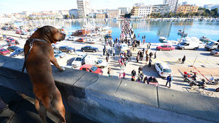 Karnevalić – vesele maškare u điru po gradu, Foto: Iva Perinčić