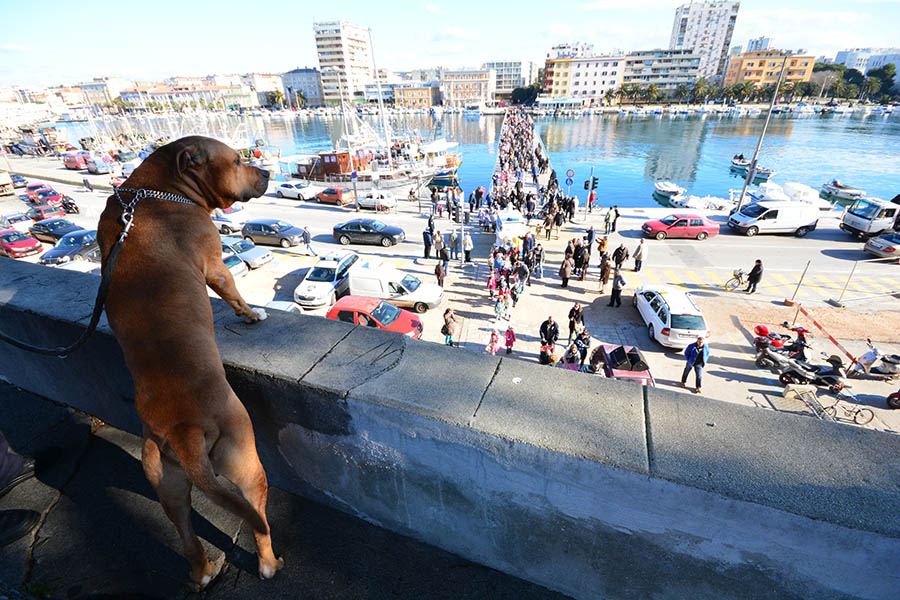 Karnevalić – vesele maškare u điru po gradu, Foto: Iva Perinčić