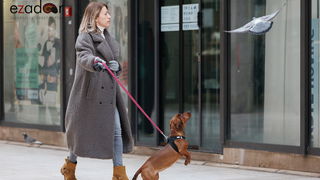 Đir po gradu, subotnja špica 21. siječnja 2023. Đir po gradu, subotnja špica 21. siječnja 2023.