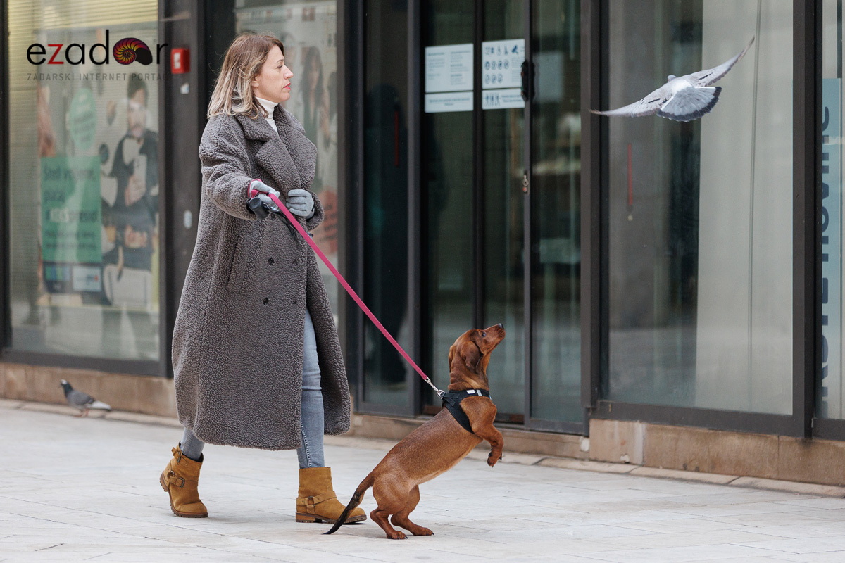 Đir po gradu, subotnja špica 21. siječnja 2023. Đir po gradu, subotnja špica 21. siječnja 2023.