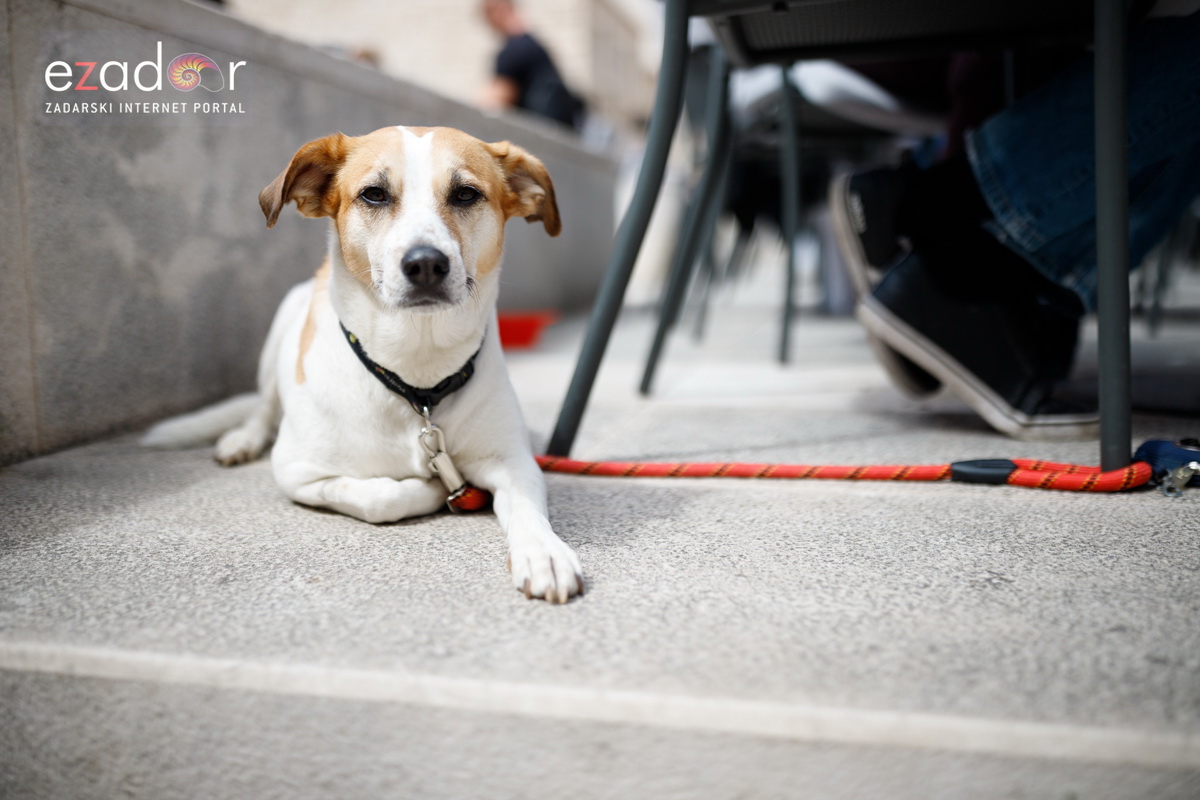 Đir po gradu, subotnja špica 13. travnja 2019. Đir po gradu, subotnja špica 13. travnja 2019.