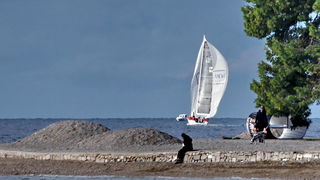 Regata Biograd Zadar Regata Biograd Zadar