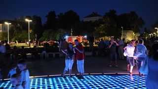 Zadar, 190810.
Veceras se u blizini zadarskih turistickih atrakcija morskih orgulja i pozdrava suncu iznenada srusilo stablo, na svu srecu nitko nije teze ozljedjen.
Foto : Andrija Lucic / cropix