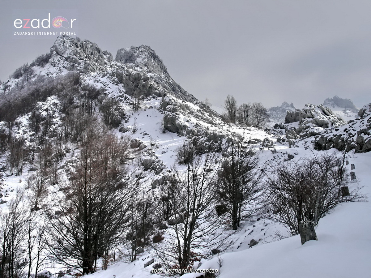 Tulove grede pod snježnim pokrivačem Tulove grede pod snježnim pokrivačem