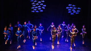 HNK Zadar: Predstava “Naravno, da more!” plesne udruge Gesta HNK Zadar: Predstava “Naravno, da more!” plesne udruge Gesta