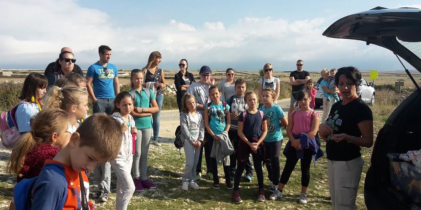 Promatranje ptica Promatranje ptica