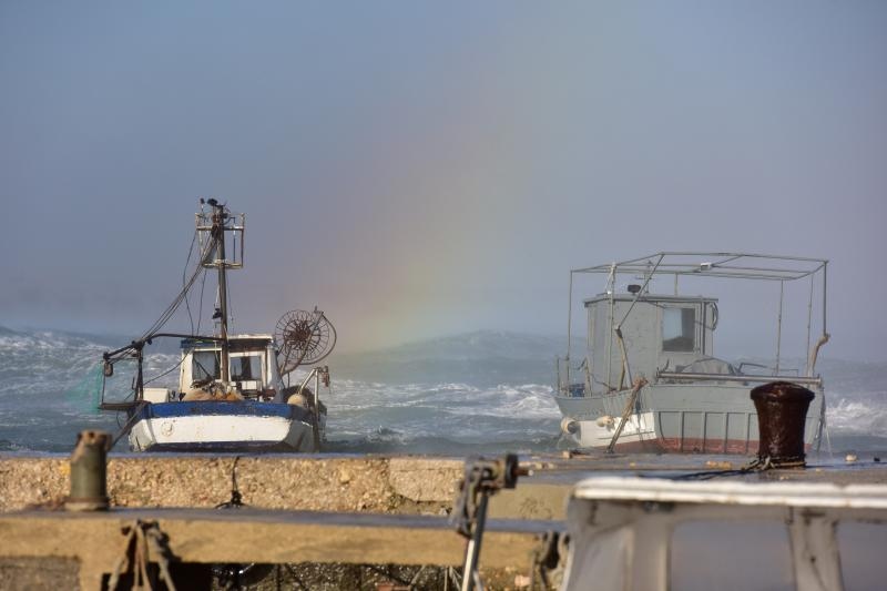 Jaka bura na zadarskom području otežava cestovni i pomorski promet, foto: Dino STanin/PIXSELL Jaka bura na zadarskom području otežava cestovni i pomorski promet, foto: Dino STanin/PIXSELL