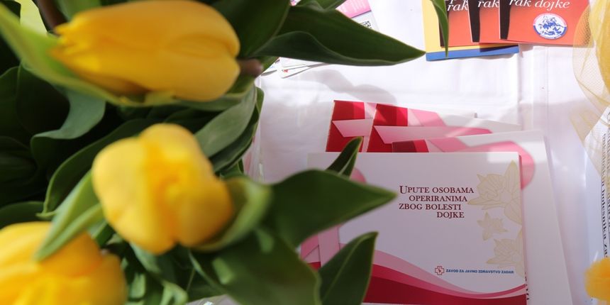 Na Viru tradicionalno obilježen Dan narcisa Na Viru tradicionalno obilježen Dan narcisa