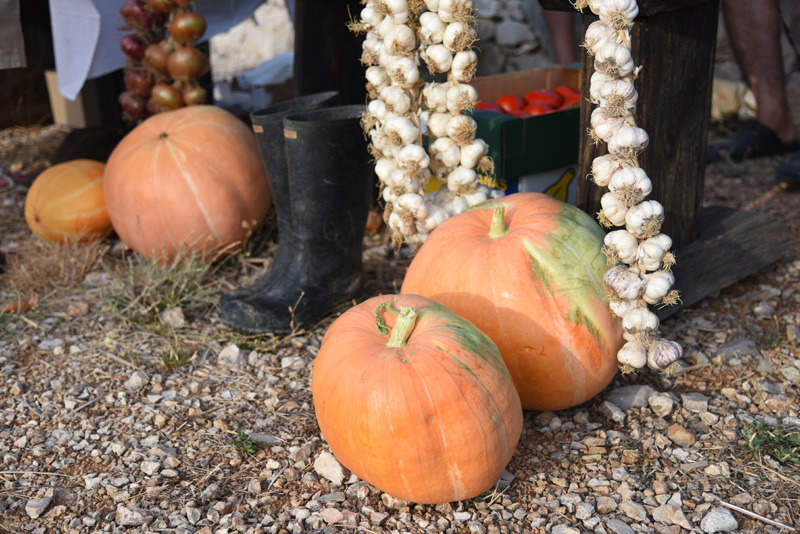 Održan sajam “Luka i igara”