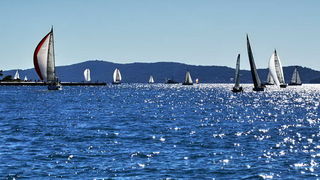 Regata Zadarska Koka 2015. Regata Zadarska Koka 2015.