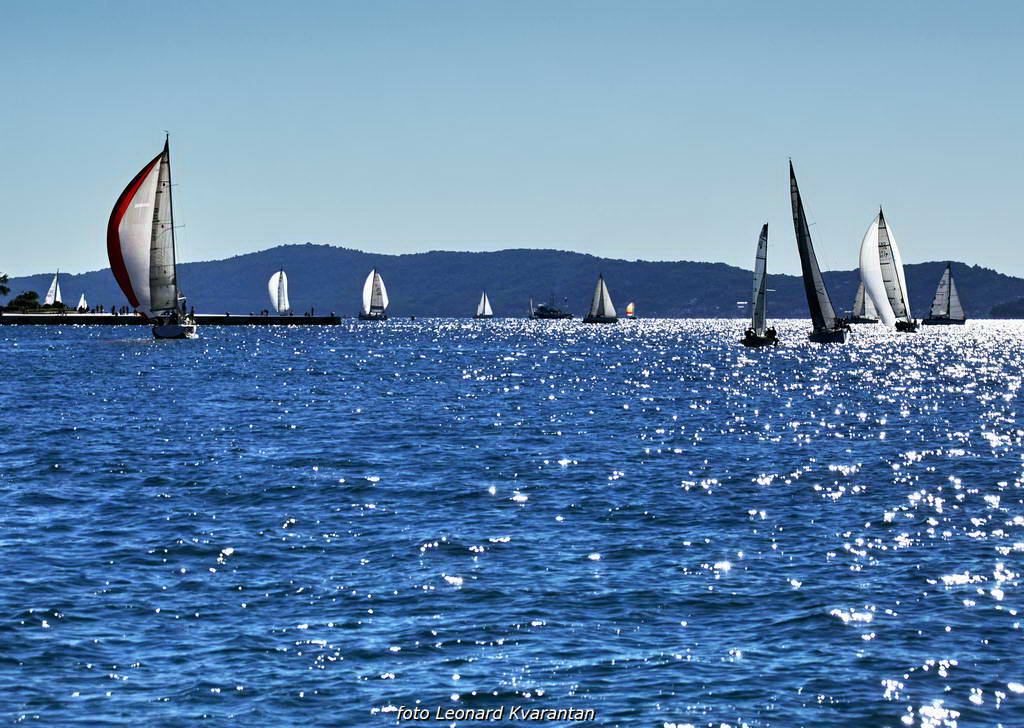 Regata Zadarska Koka 2015. Regata Zadarska Koka 2015.