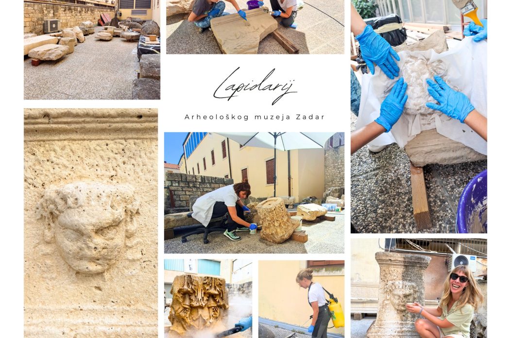 lapidarij amzd