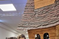 624166986_1454176736718911_8859684185906098926_n