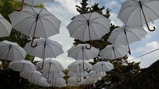 Cvjetna špica: Bili smo na Festivalu cvijeća u Sv. Filipu i Jakovu Cvjetna špica: Bili smo na Festivalu cvijeća u Sv. Filipu i Jakovu