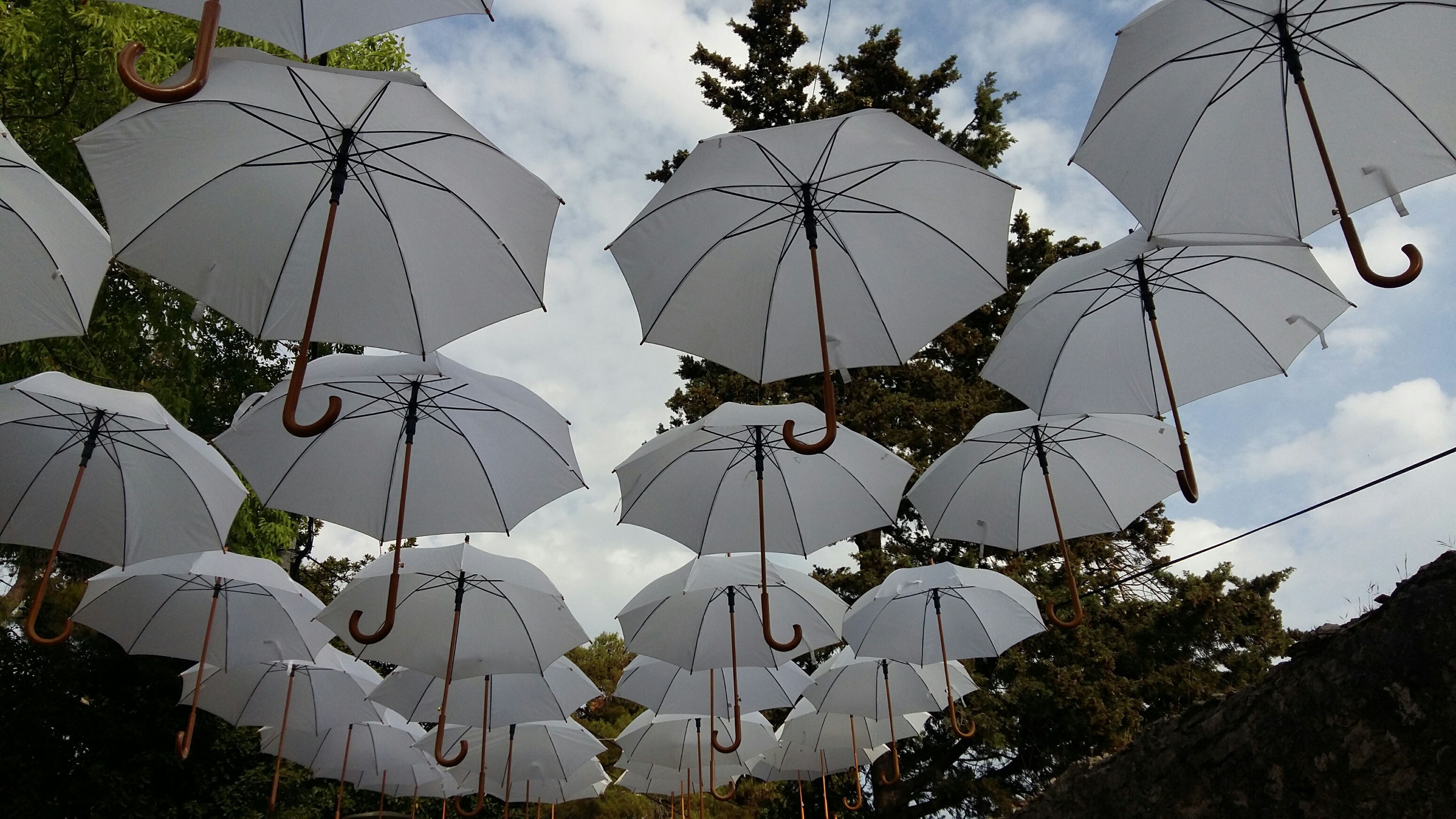 Cvjetna špica: Bili smo na Festivalu cvijeća u Sv. Filipu i Jakovu Cvjetna špica: Bili smo na Festivalu cvijeća u Sv. Filipu i Jakovu