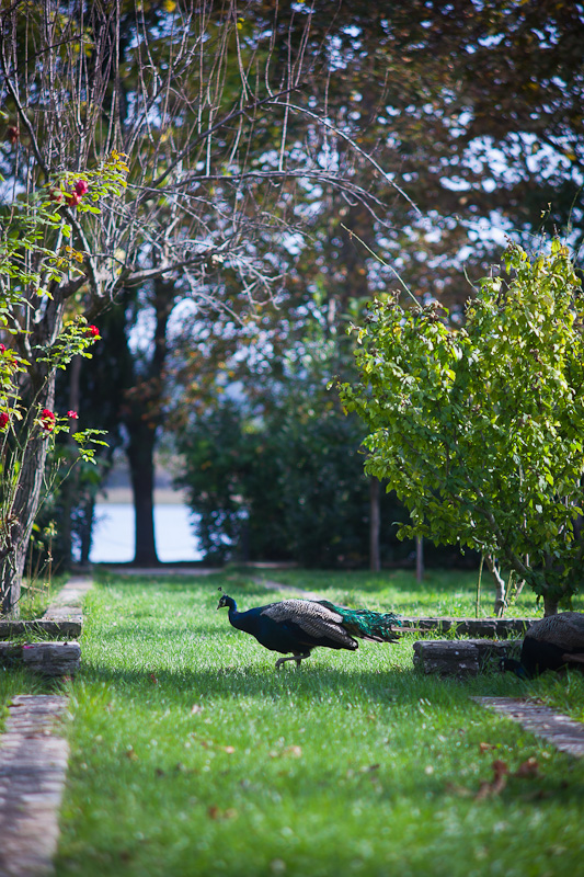 Izlet u NP Krka: Skradin, Skradinski buk, Visovac, foto: Darko Belančić