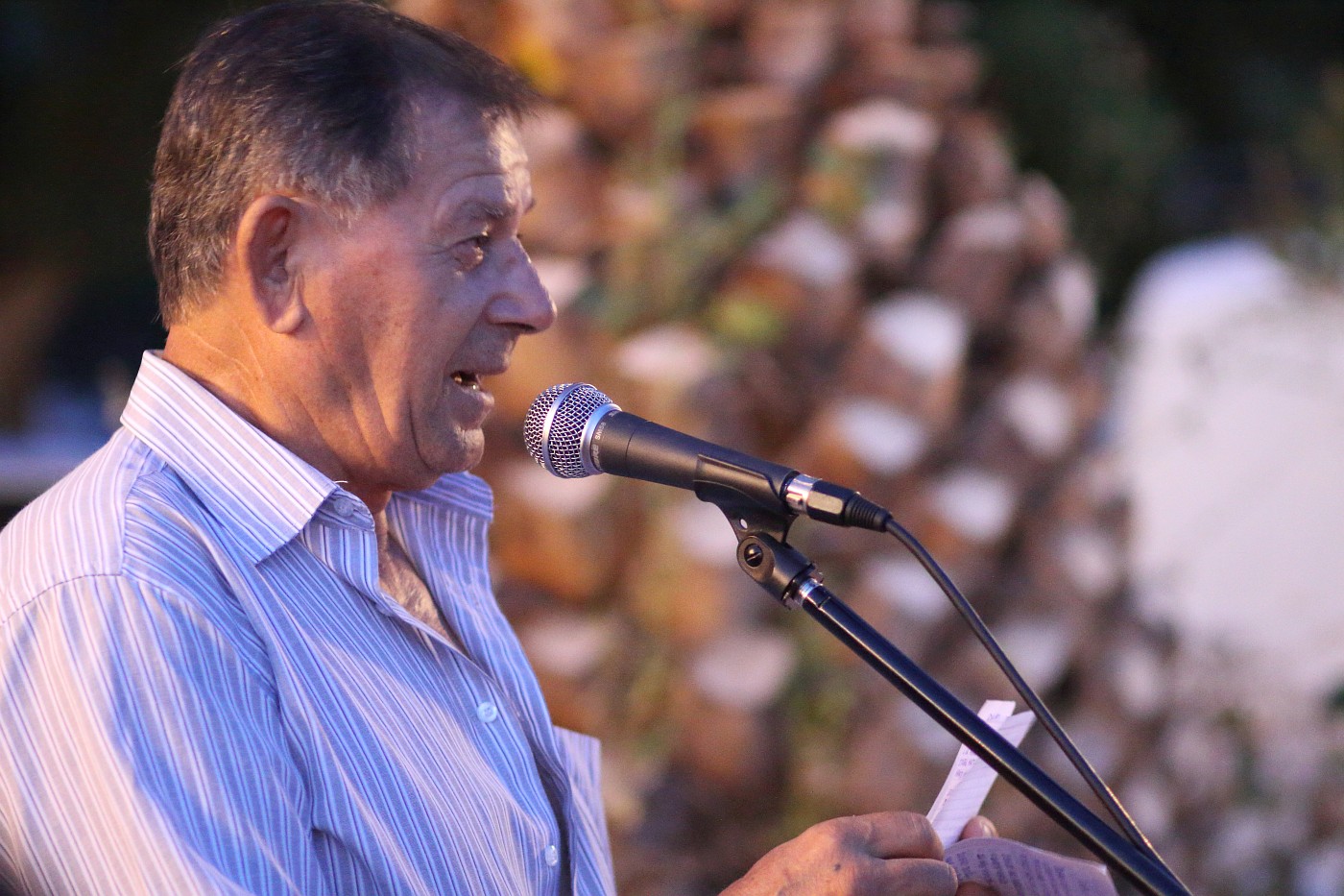 Gastro manifestacija “Bibinjski gušti” – druga večer Gastro manifestacija “Bibinjski gušti” – druga večer