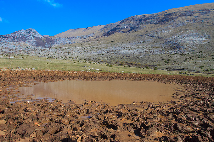 Izlet u Libinje 6. travnja 2011, Foto: Leo Banic