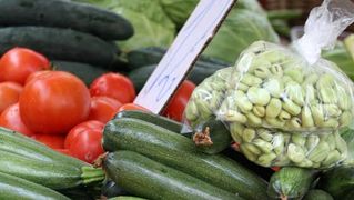 Image 1200505 (auto)