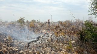 Lozovac: veliki požar zaprijetio kućama, kopnenim snagama pridružila se četiri kanadera Lozovac: veliki požar zaprijetio kućama, kopnenim snagama pridružila se četiri kanadera