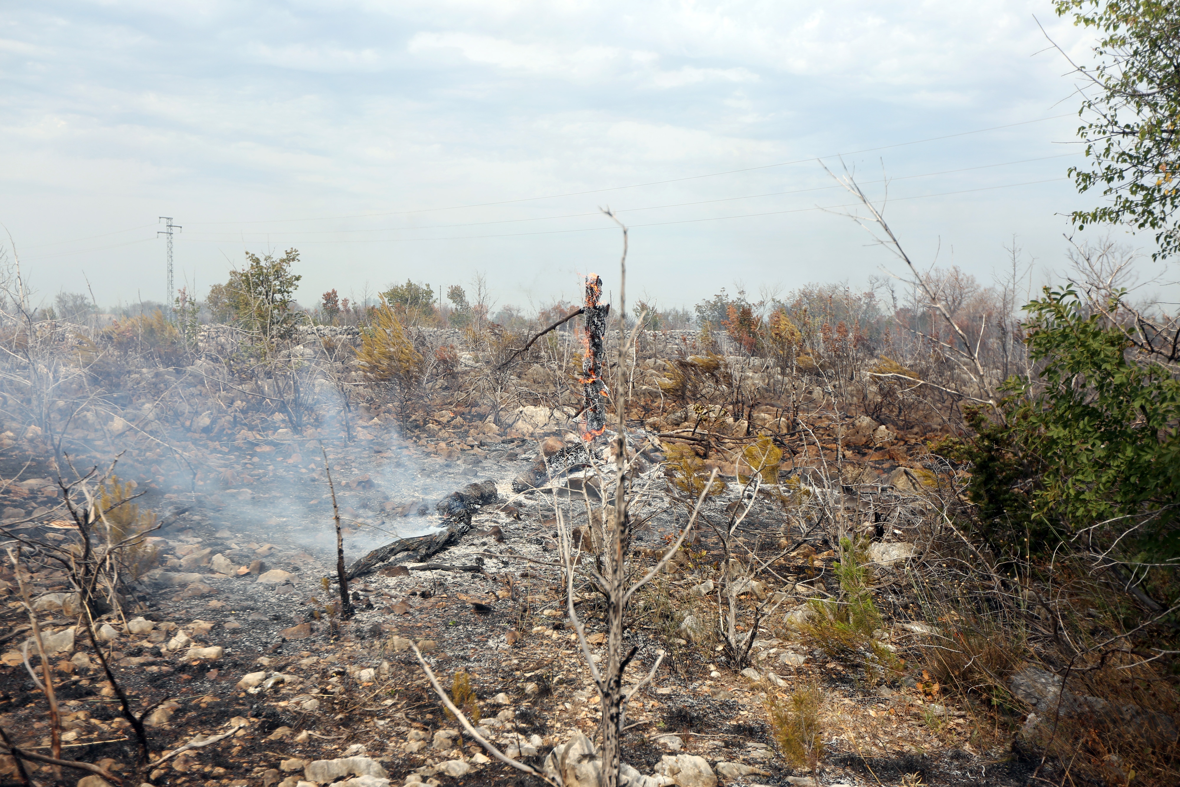 Lozovac: veliki požar zaprijetio kućama, kopnenim snagama pridružila se četiri kanadera Lozovac: veliki požar zaprijetio kućama, kopnenim snagama pridružila se četiri kanadera