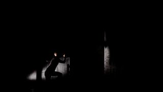 “Ana i Ona” naziv je predstave čijom je premijerom sinoć u zadarskom Kazalištu lutaka započela umjetnička revija pod nazivom “Nosi se Teatro Verrdi”.