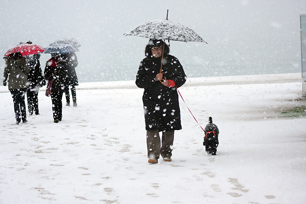 Snijeg u Zadru, 17. prosinca 2009, Foto: Saša Čuka