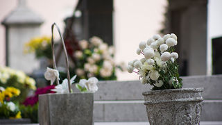 Gradsko groblje uoči blagdana Svih svetih (foto:Saša Čuka) Gradsko groblje uoči blagdana Svih svetih (foto:Saša Čuka)